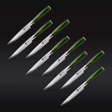 Steak Knife & Bistecca Plate Set, 16-pc (Green)