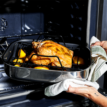 Small Hybrid Roasting Pan w/ Rack, 10" x 14"