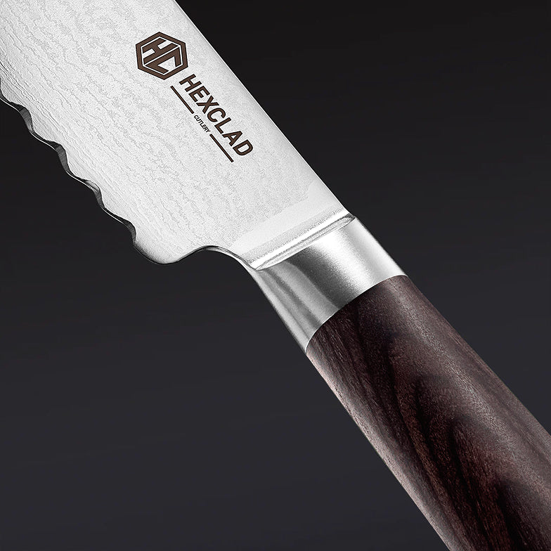 Damascus Steel Starter Knife Set, 2-pc (Espresso)